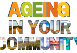 Ageing in your community – what you’ve told us preview image