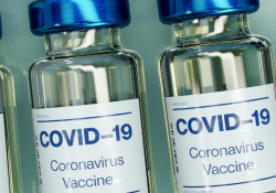 COVID-19 vaccination rollout preview image